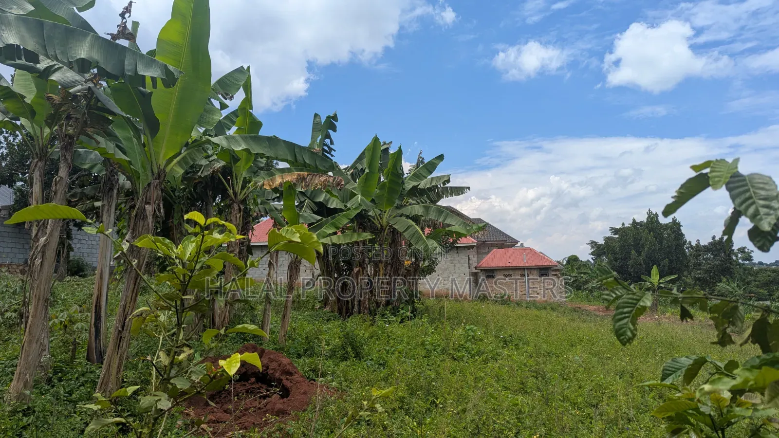 Quick Plot for Sale