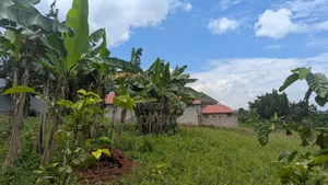 Quick Plot for Sale