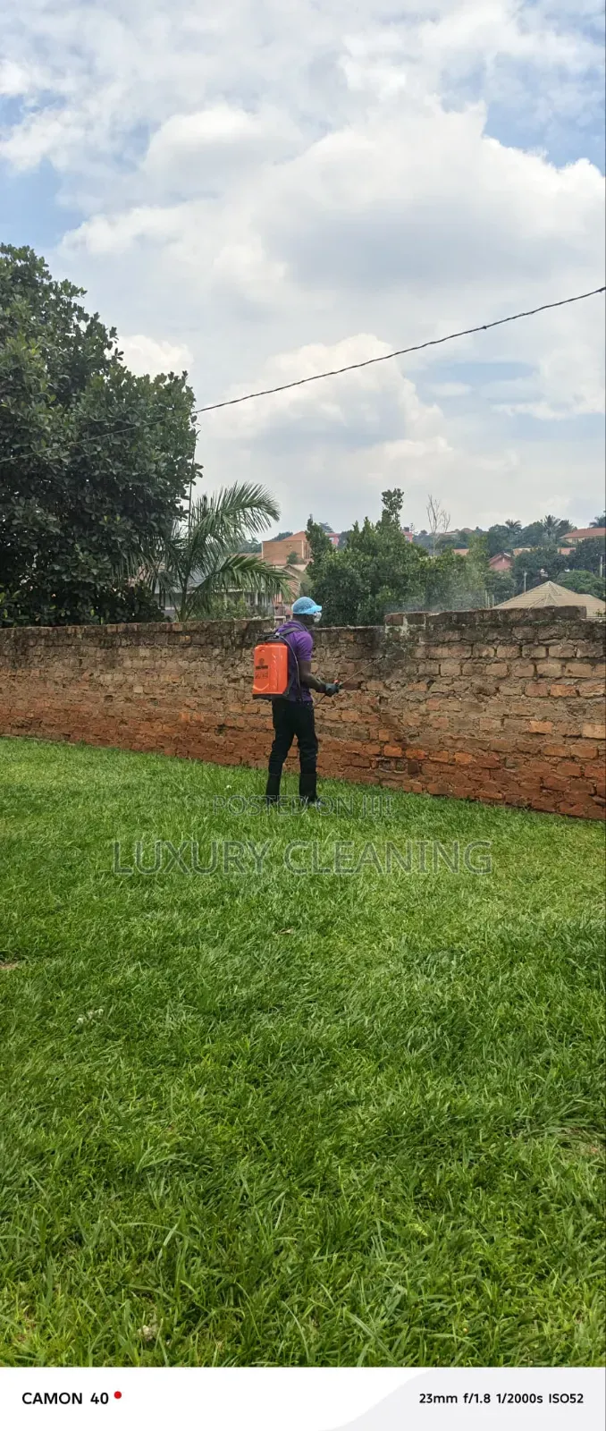 Ticks and Fleas Fumigation