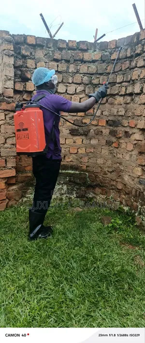 Ticks and Fleas Fumigation