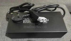 Gogo E-bike Charger