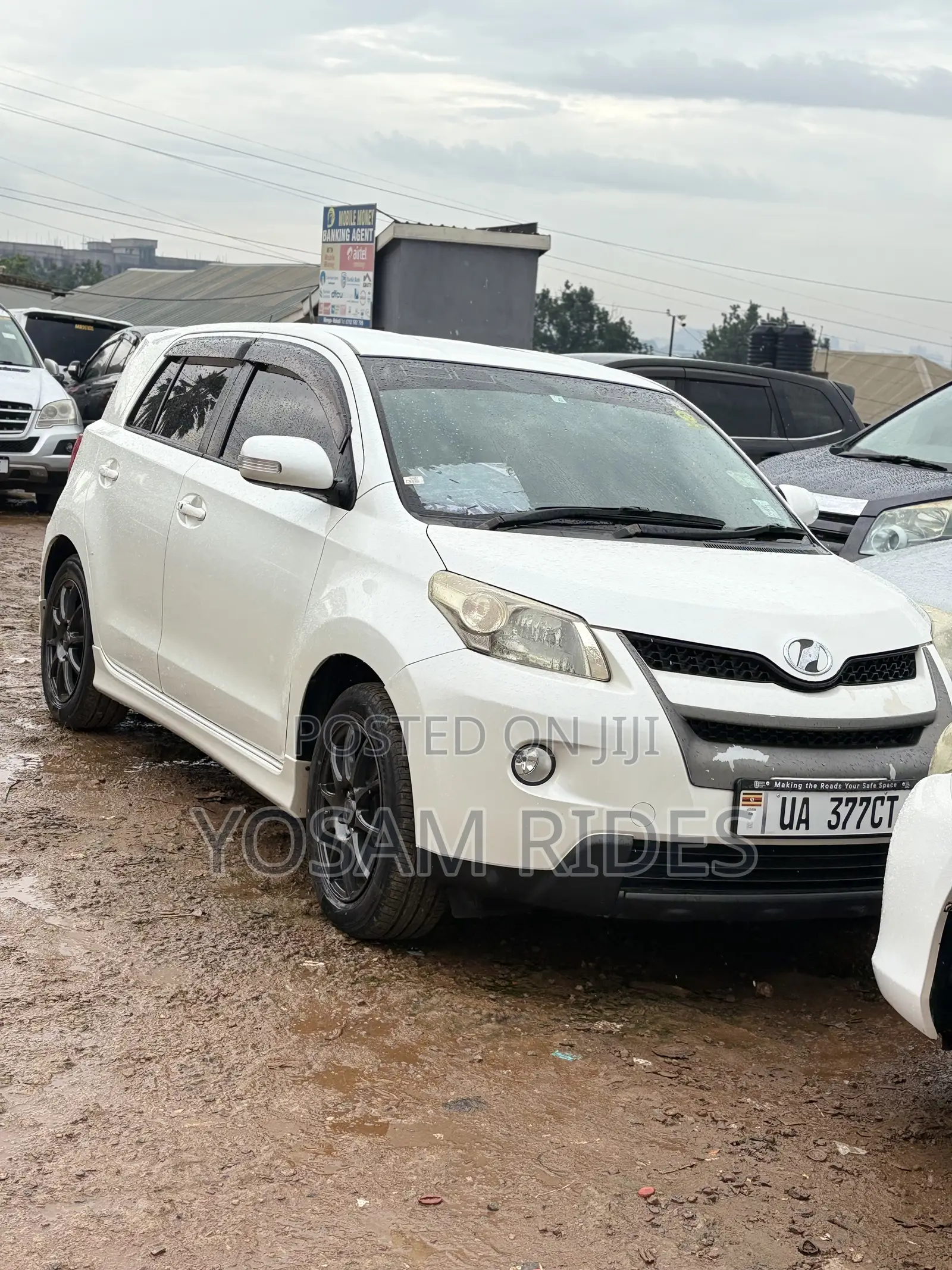 Toyota IST 2011 White