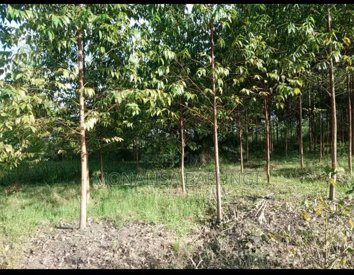 100ft by 100ft