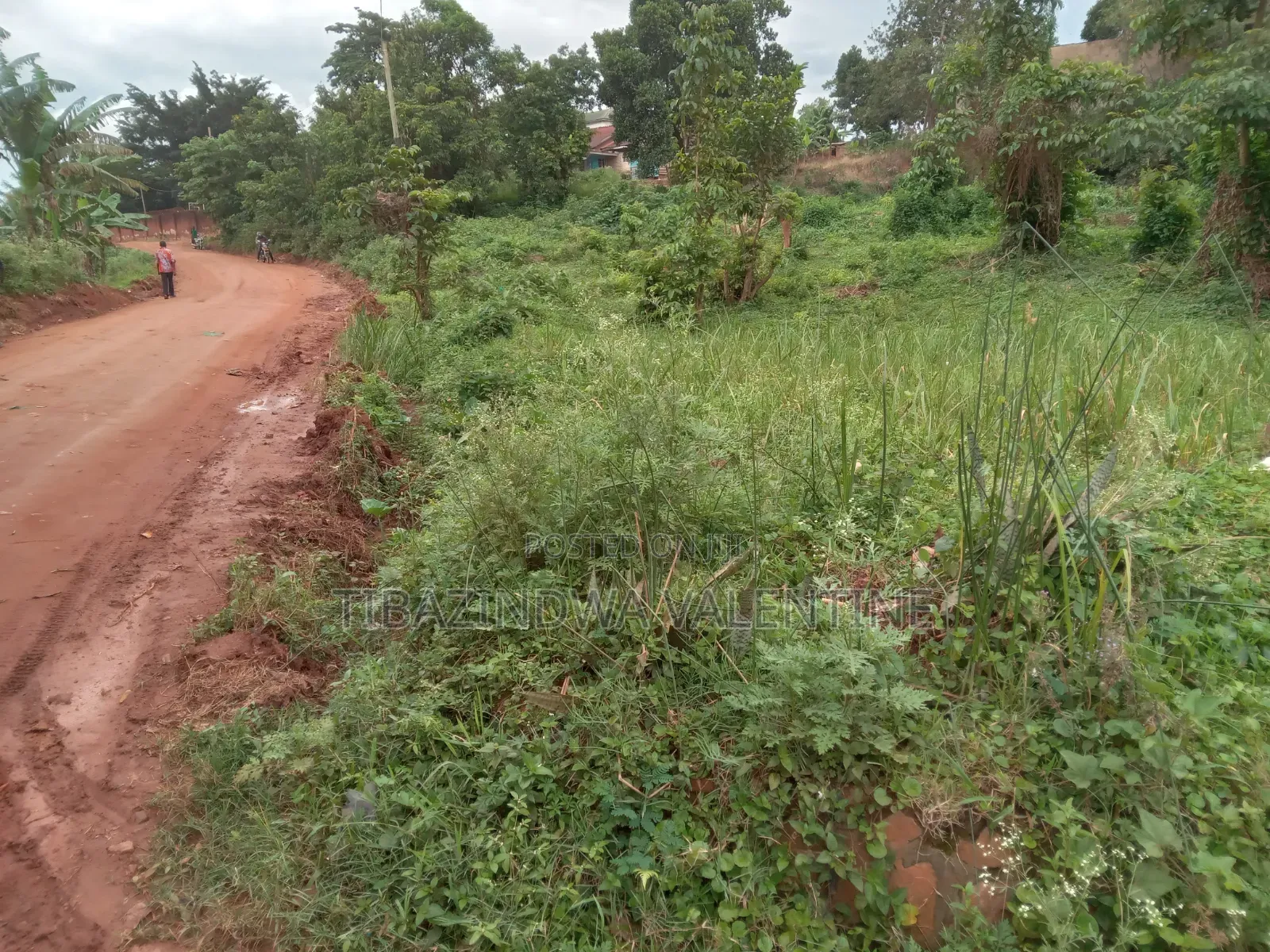 Prime Surveyed Plot For Sale In Kyadondo Wakiso