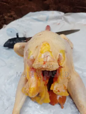Rashid Poultry Meat