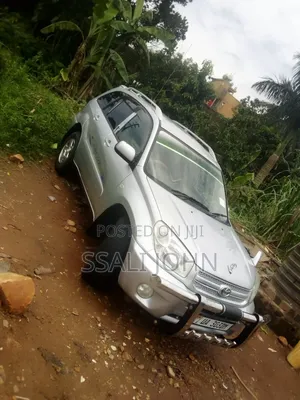Toyota RAV4 2005 Silver