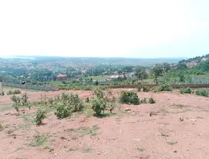 Residential and Commercial Properties for Ugandan Elites