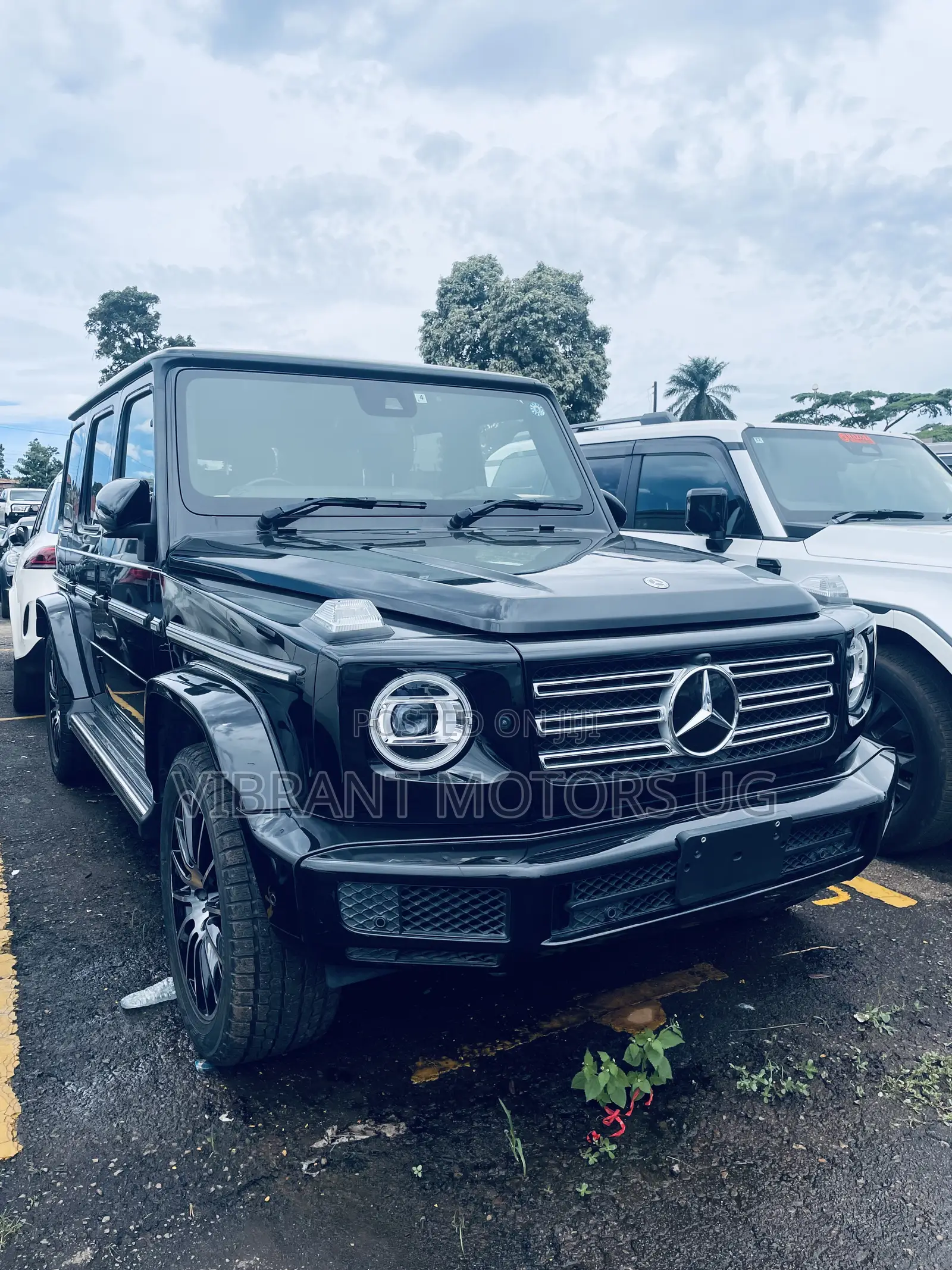 New Mercedes-Benz G-Class G 350 d 2023 Black