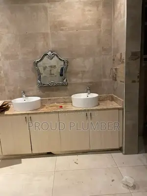 Toilets and Wash Hand Basins Installation