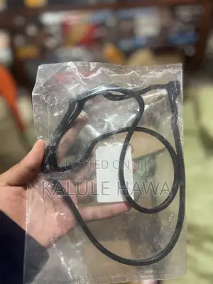 Car Oil Seal