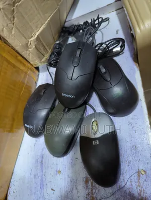 Computer Mouse