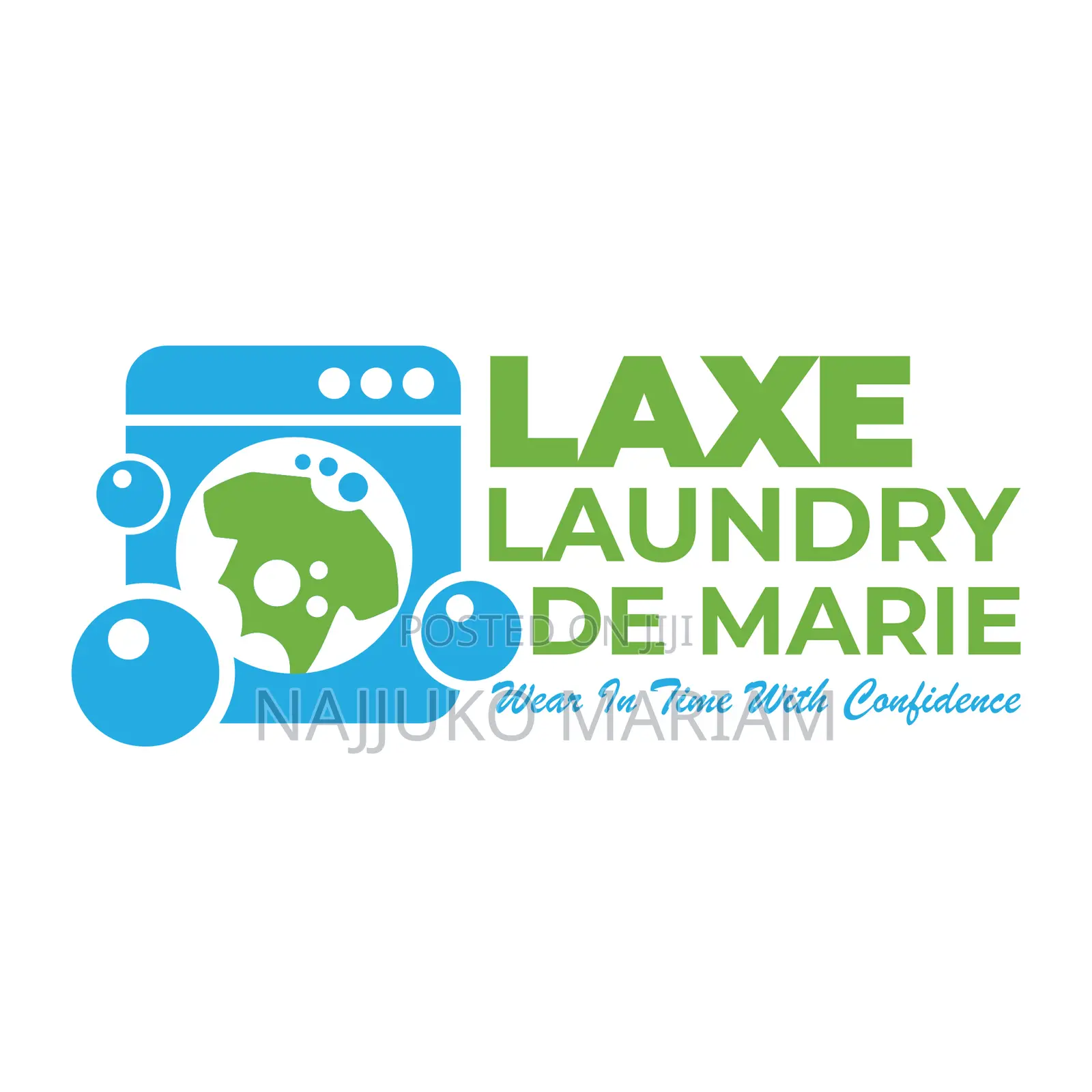 Laundry and Dry Cleaning and Simple Home Cleaning Services