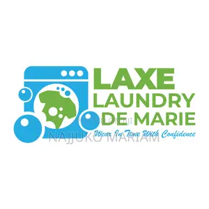 Laundry and Dry Cleaning and Simple Home Cleaning Services