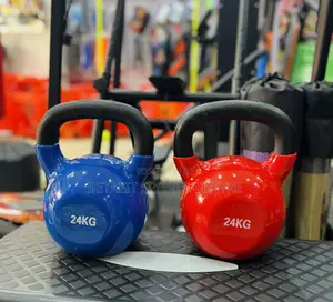 Kettlebell 24 Kg Pair