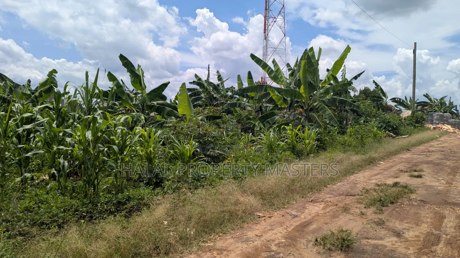 Quick Sell Plot for Sale in Matugga Kavule Town With Land Title