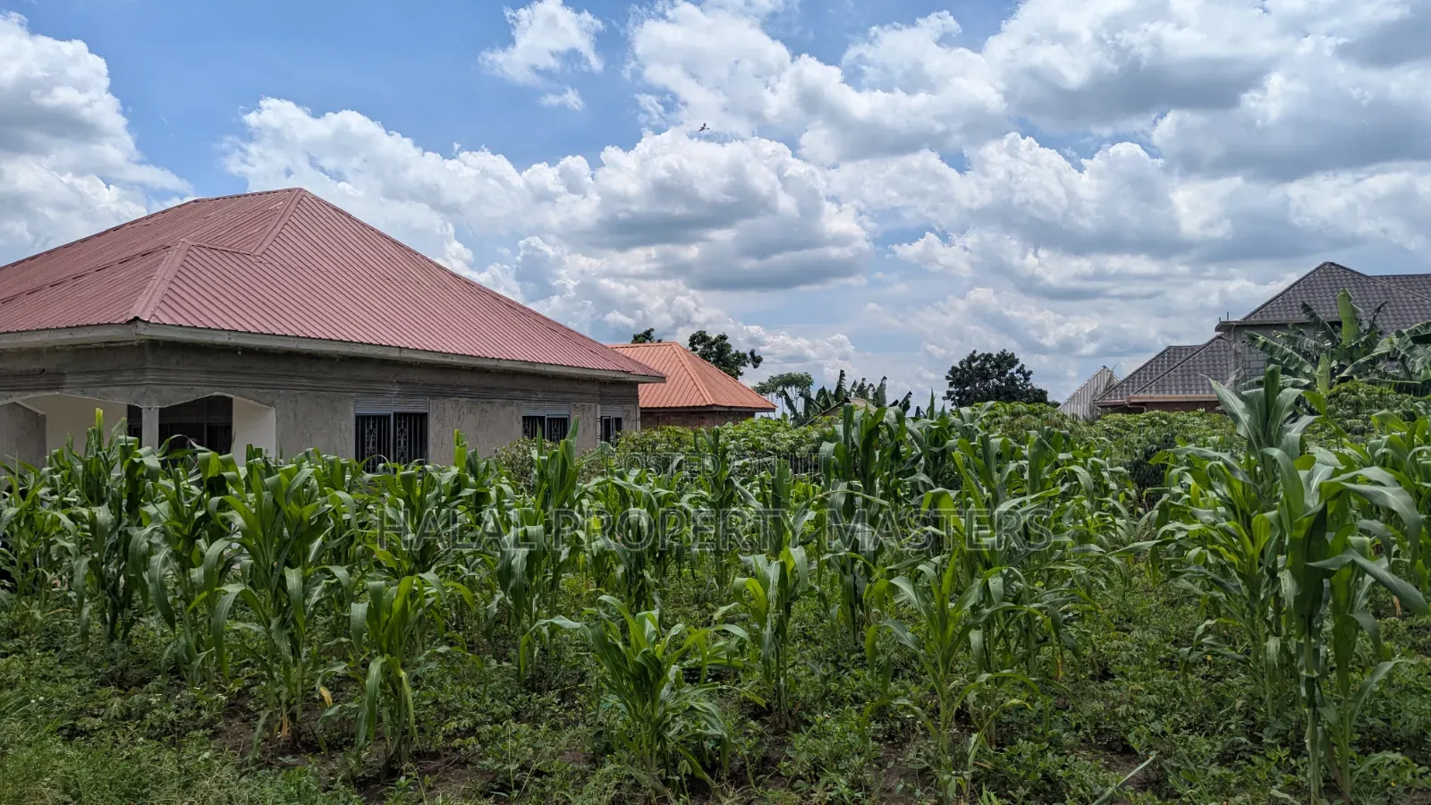 Quick Sell Plot for Sale in Matugga Kavule Town With Land Title