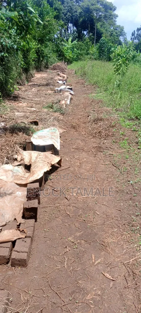 Plot for on Sale 50 by 50