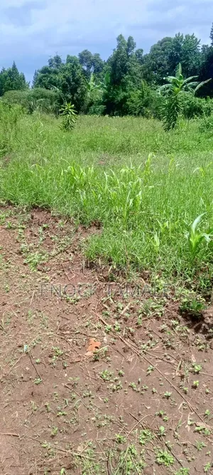 Plot for on Sale 50 by 50