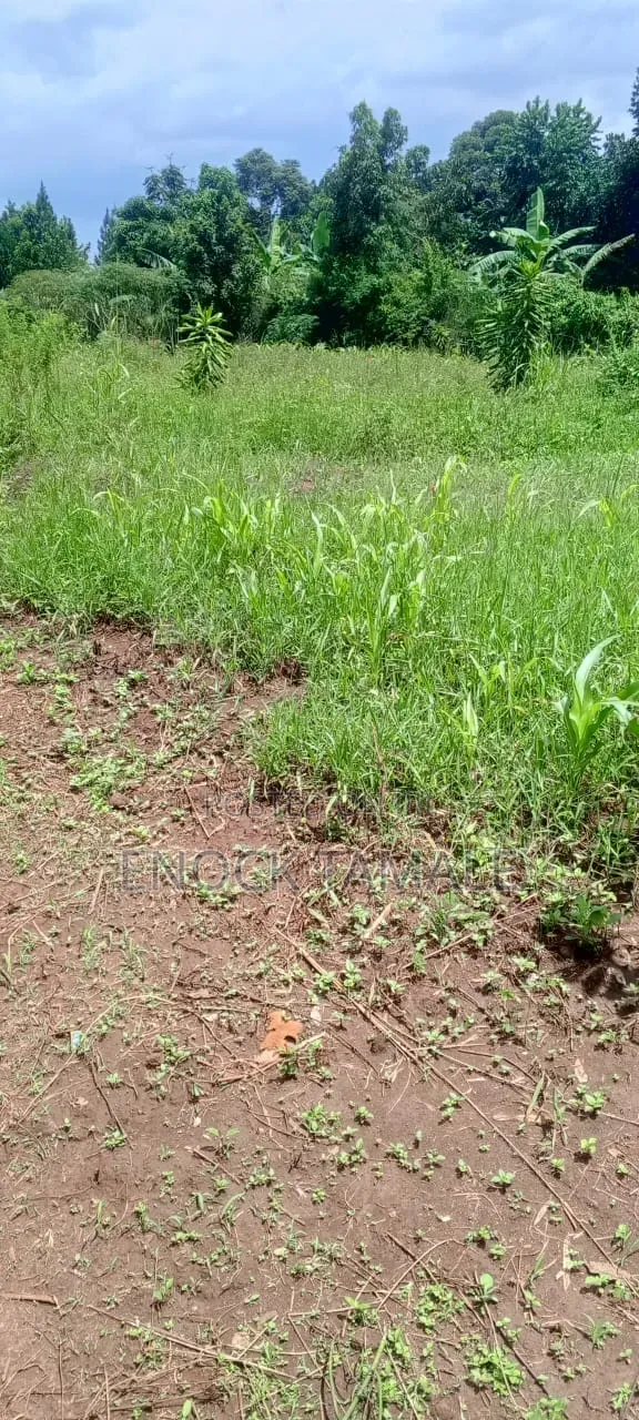 Plot for on Sale 50 by 50