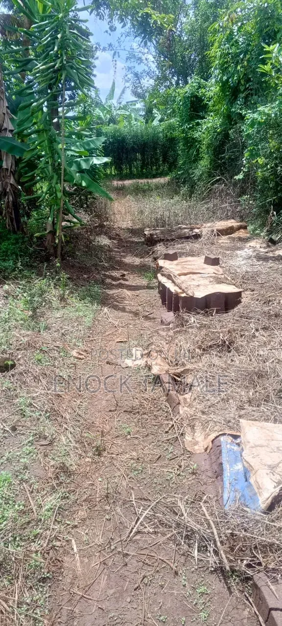 Plot for on Sale 50 by 50