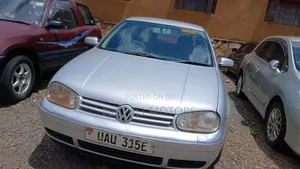 Volkswagen Golf 2003 Silver