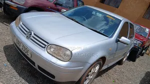 Volkswagen Golf 2003 Silver