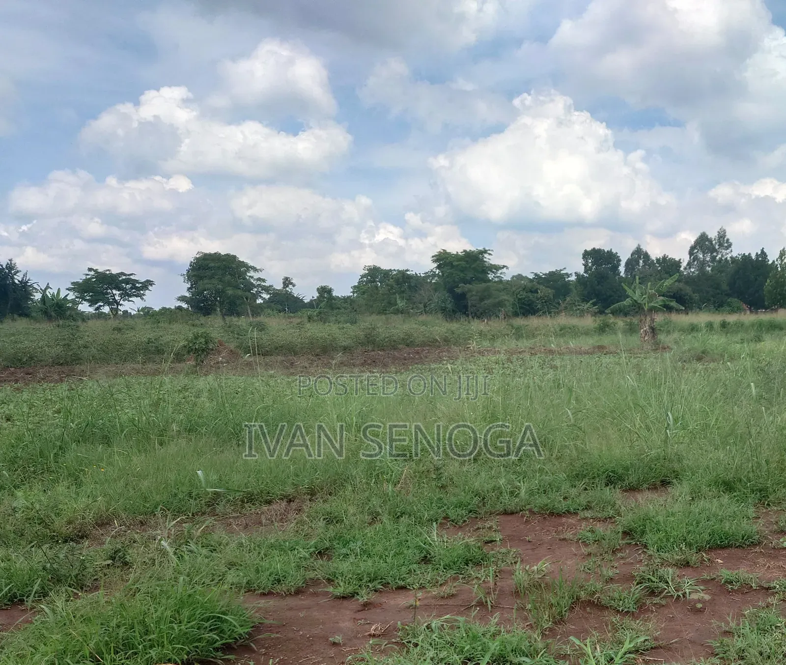 16 Decimals in Masooli 8 Miles Off Gayaza Rd With Ready Title