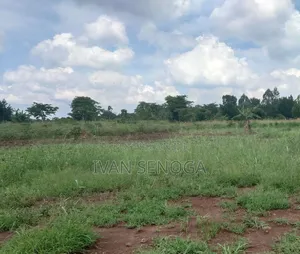 16 Decimals in Masooli 8 Miles Off Gayaza Rd With Ready Title