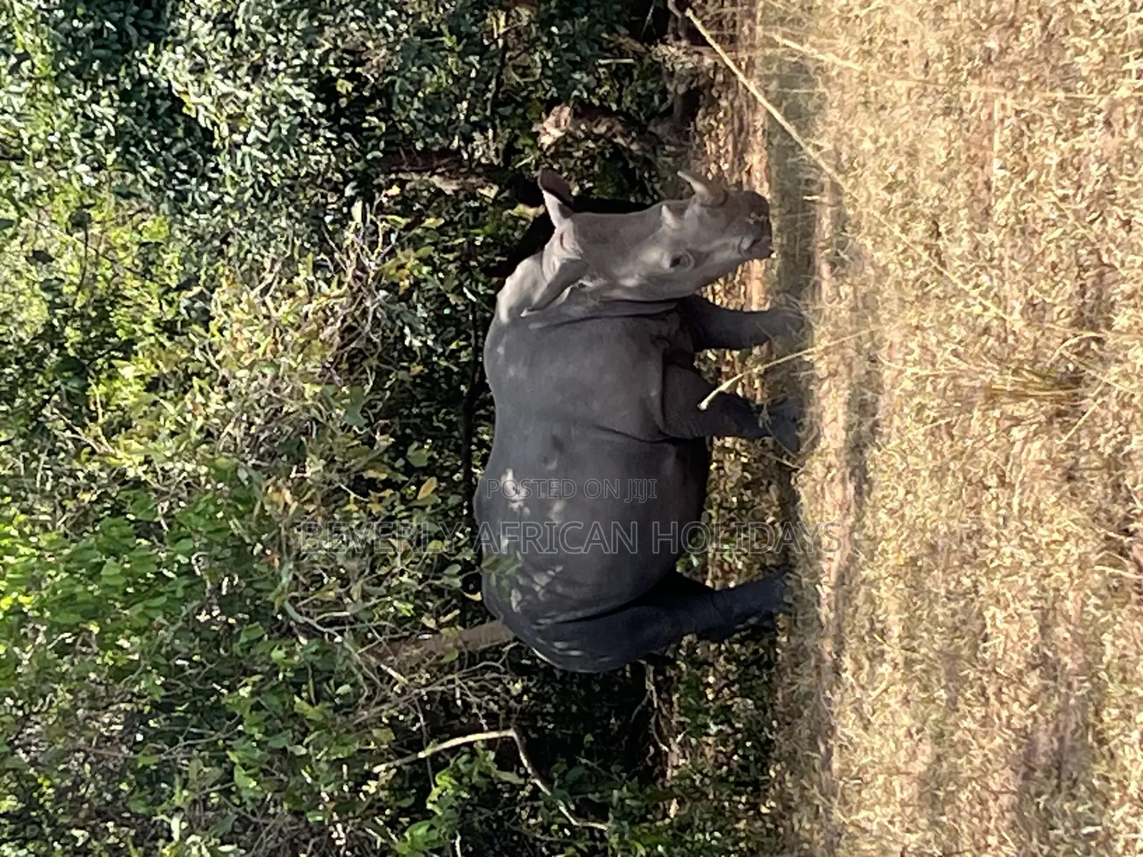3 Days Murchison Falls Safari