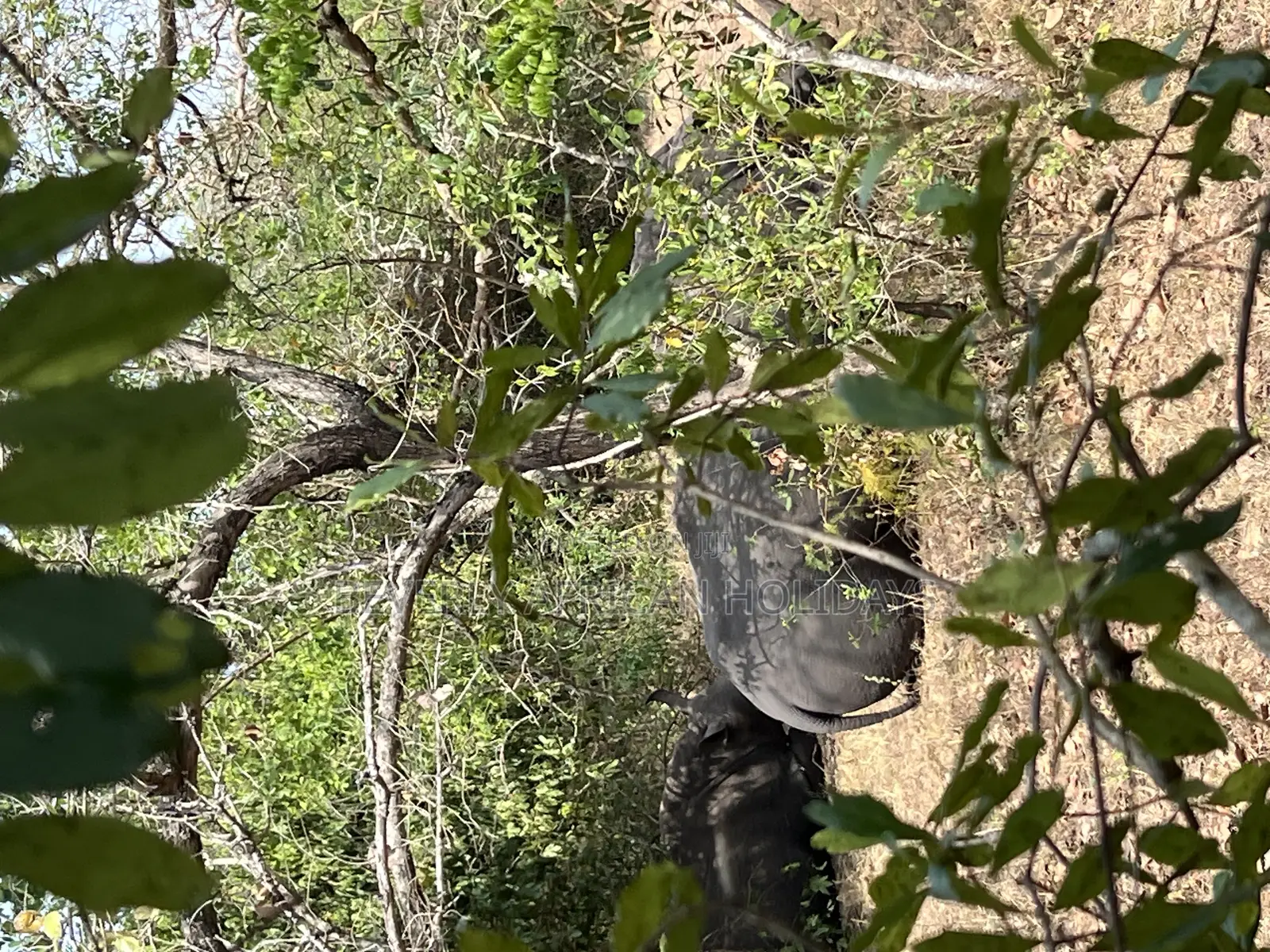 3 Days Murchison Falls Safari