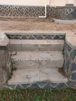 Paver Cleaning Services