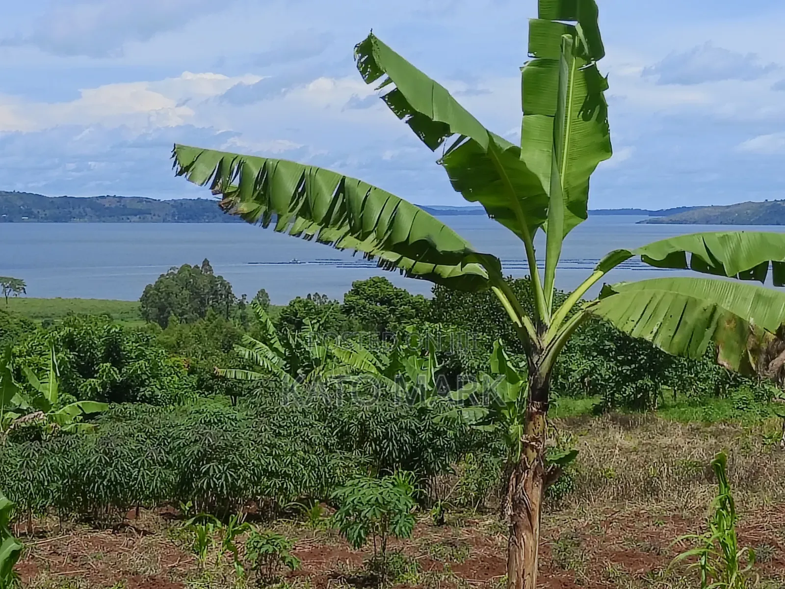 2 Acres Lake View for Sale at Mukono Buwoya 35m Per