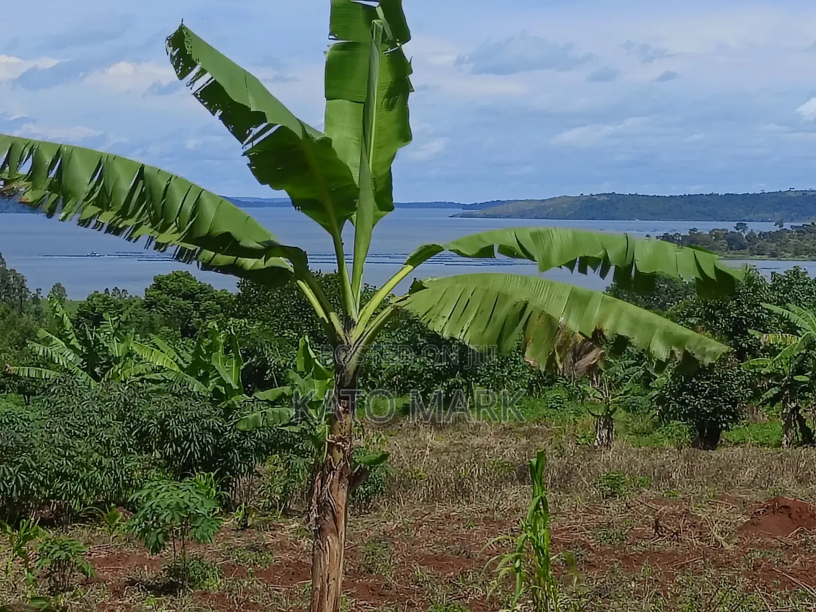 2 Acres Lake View for Sale at Mukono Buwoya 35m Per