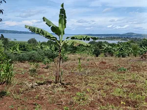 2 Acres Lake View for Sale at Mukono Buwoya 35m Per