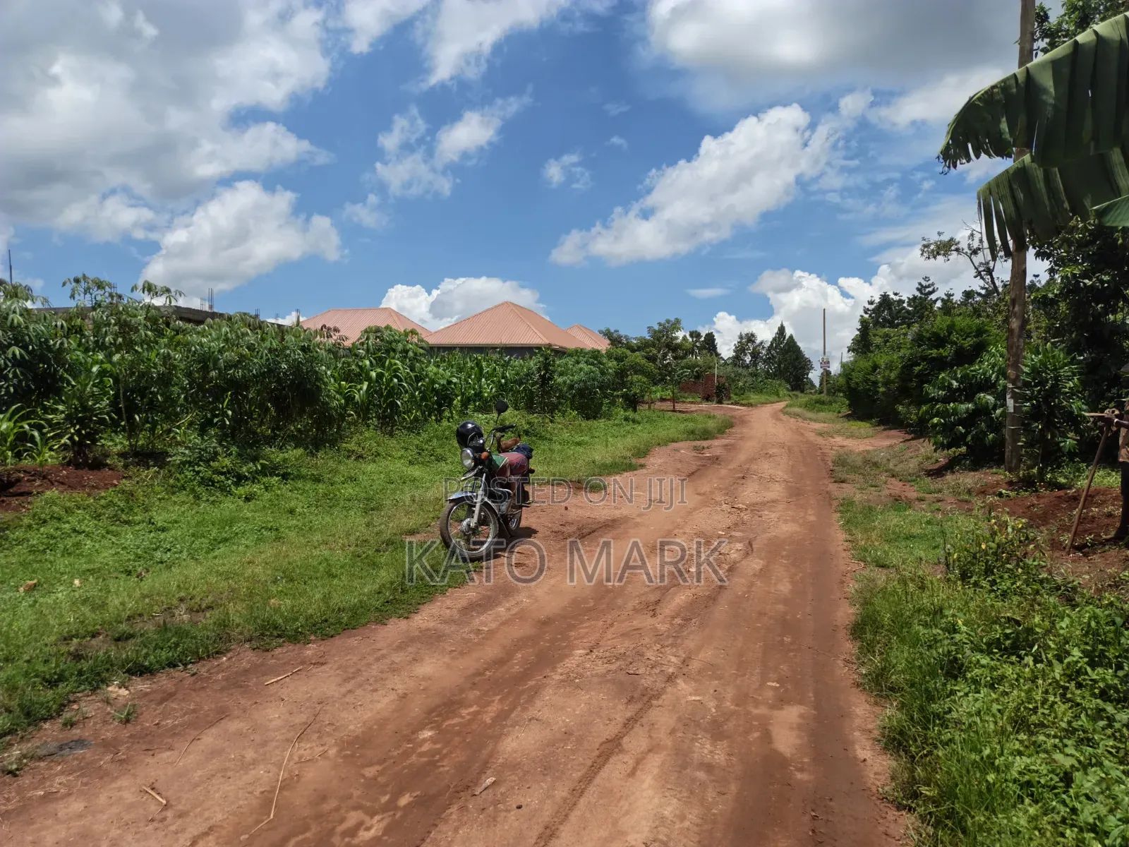 Primary School for Sale Located at Mukono Seeta 2.3b
