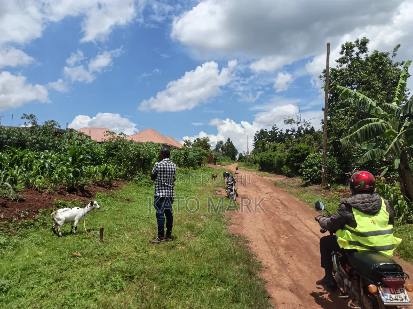 Primary School for Sale Located at Mukono Seeta 2.3b
