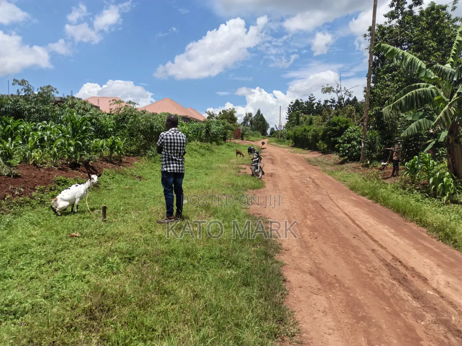 Primary School for Sale Located at Mukono Seeta 2.3b