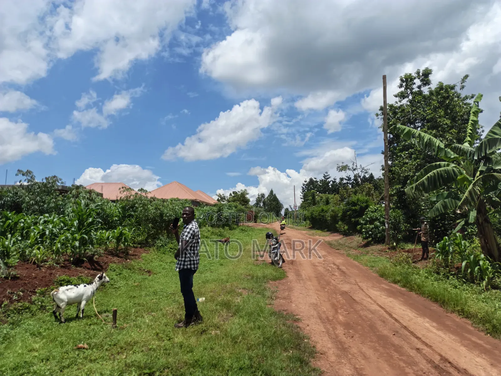 Primary School for Sale Located at Mukono Seeta 2.3b