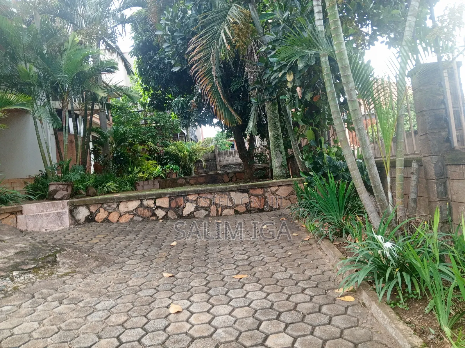 4bdrm Duplex in Kololo Property, Central Division for rent