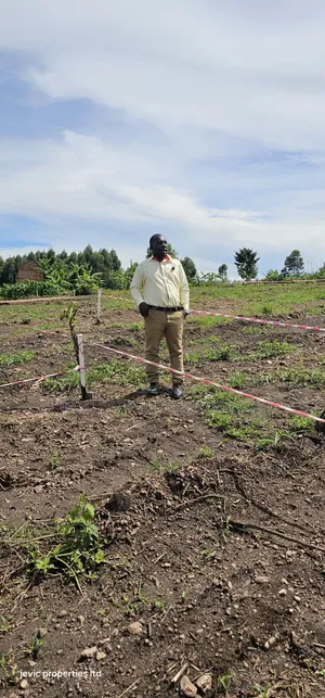 Namayumba Town View Agreement Plots for Sale Along Hoima Road