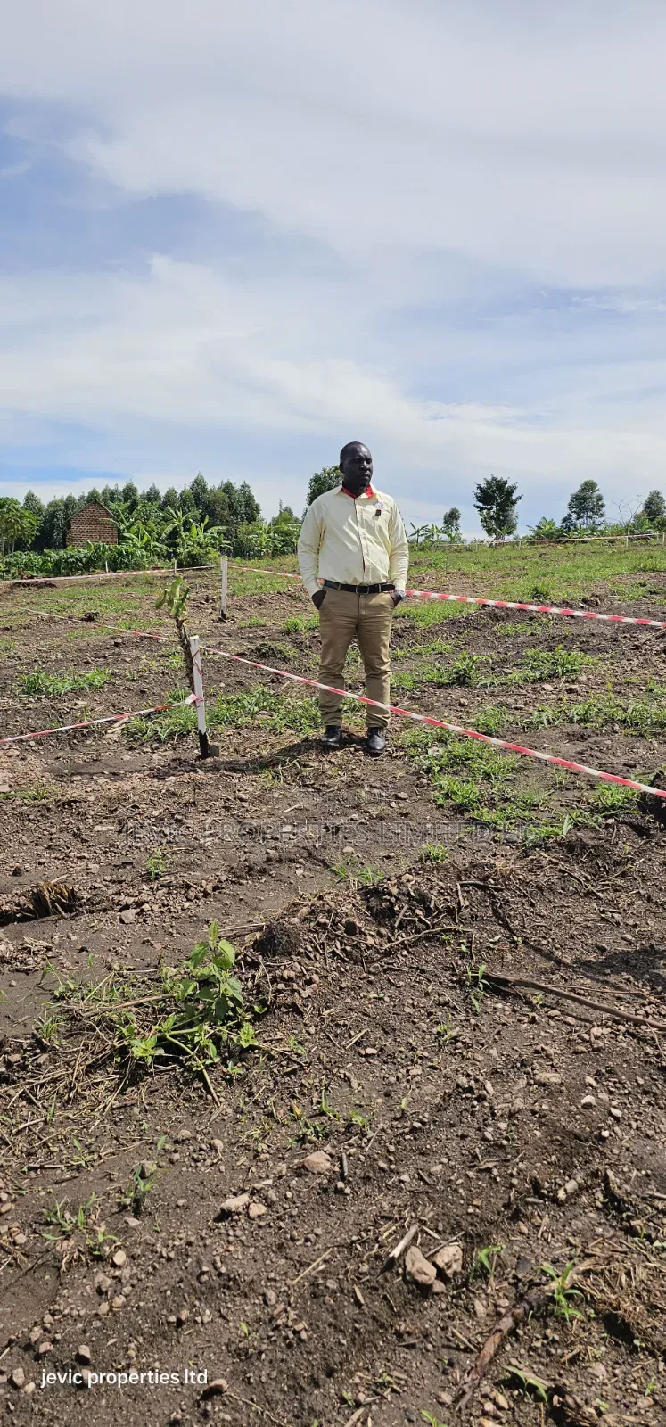 Namayumba Town View Agreement Plots for Sale Along Hoima Road