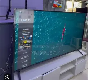 Lg 43 Digital Super Slim Flat Screen Flameless