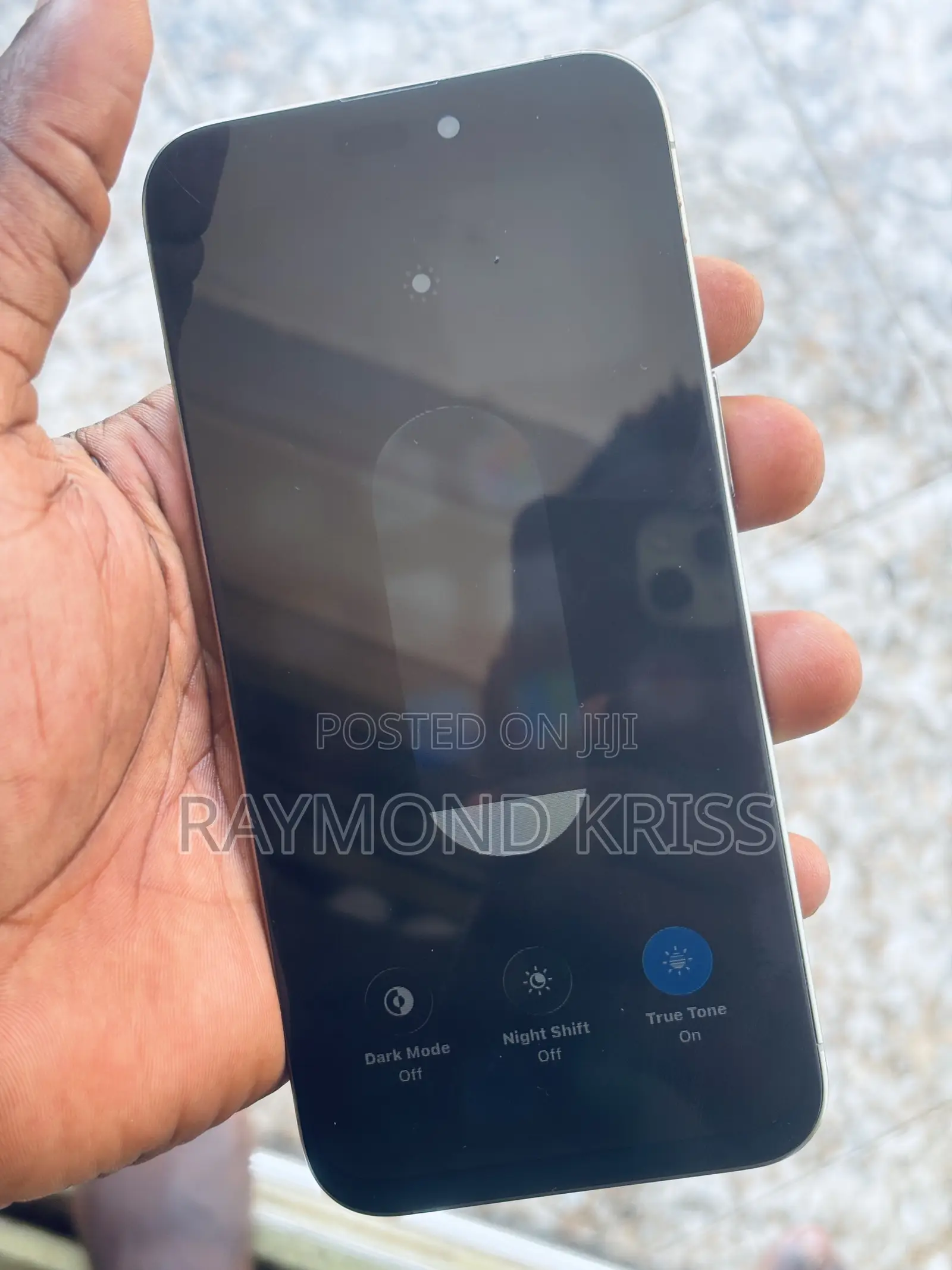 Apple iPhone 15 Pro Max 256 GB Silver