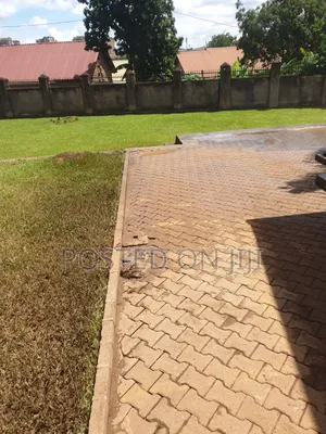 Paver Cleaning Services
