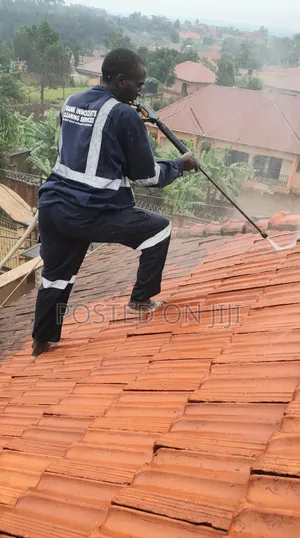 Roof Cleaning Services