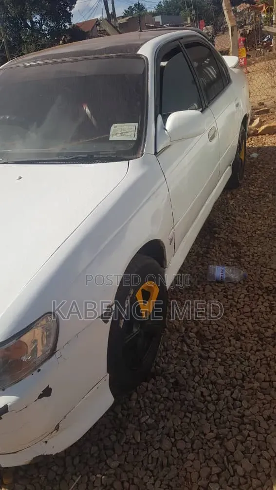 Toyota Corolla 2003 White