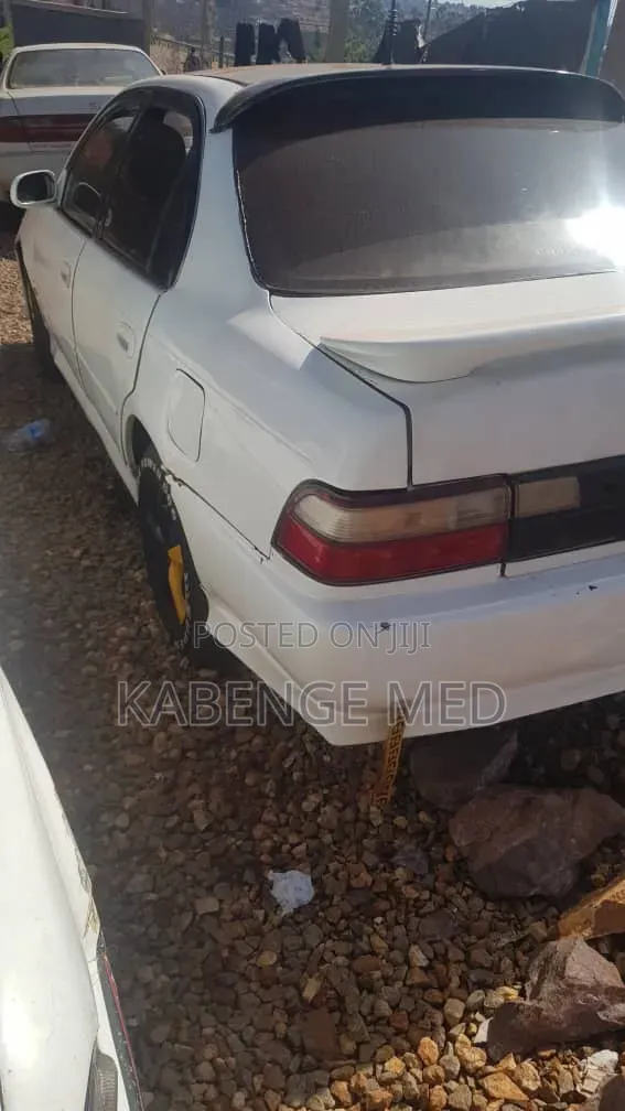 Toyota Corolla 2003 White