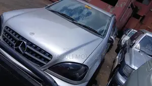 Mercedes-Benz M Class 2006 Silver