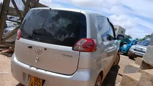 Toyota Porte 2008 Silver