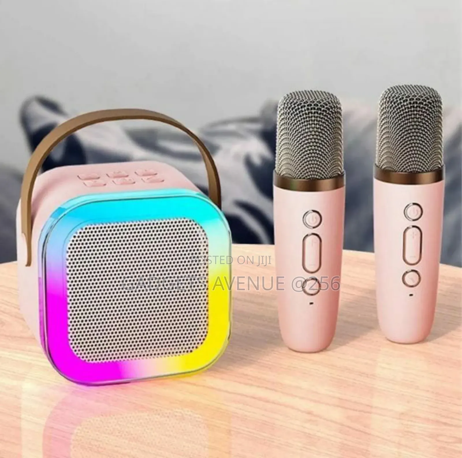 Karaoke Speaker With Wireless Microphones